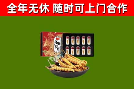 上虞回收冬虫夏草价格